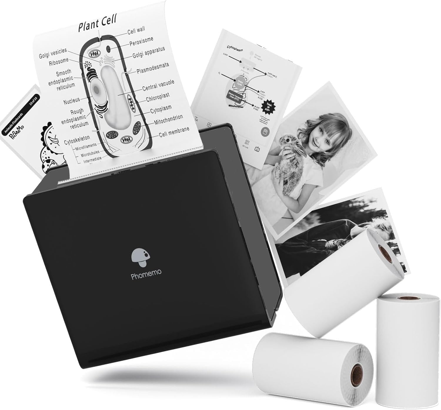 M02 Mini Sticker Printer, Bluetooth Pocket Printer Gift Suit 3 Sizes of Mixed Thermal Paper Rolls, Print Pod, Compatible with Ios & Android for Work, Home, Travel - Black